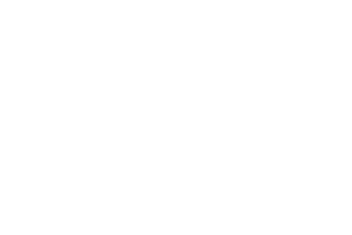 おとめ座 星座線