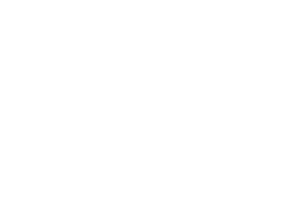 おおぐま座 星座線