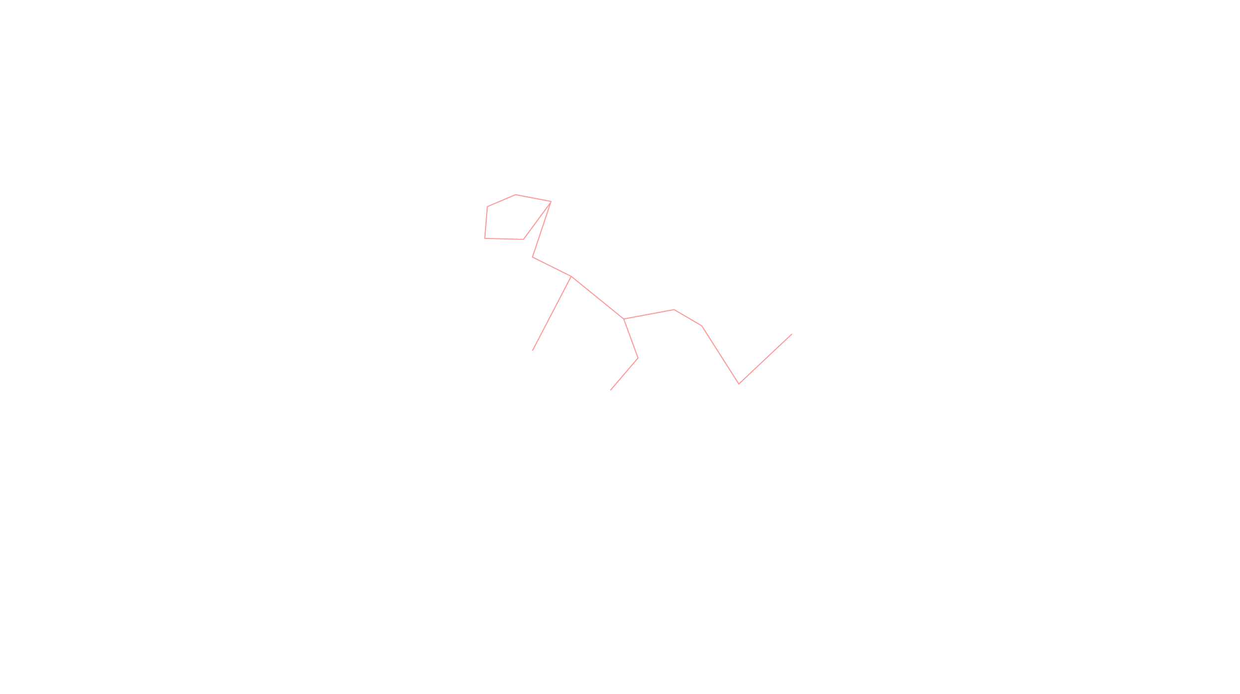 12月の天体図｜南天｜星座線