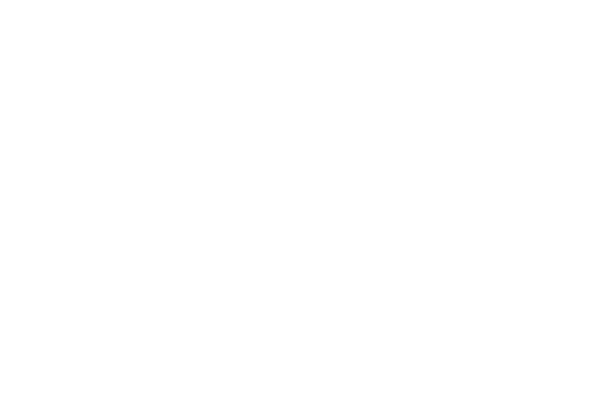 ペガスス座 星座線