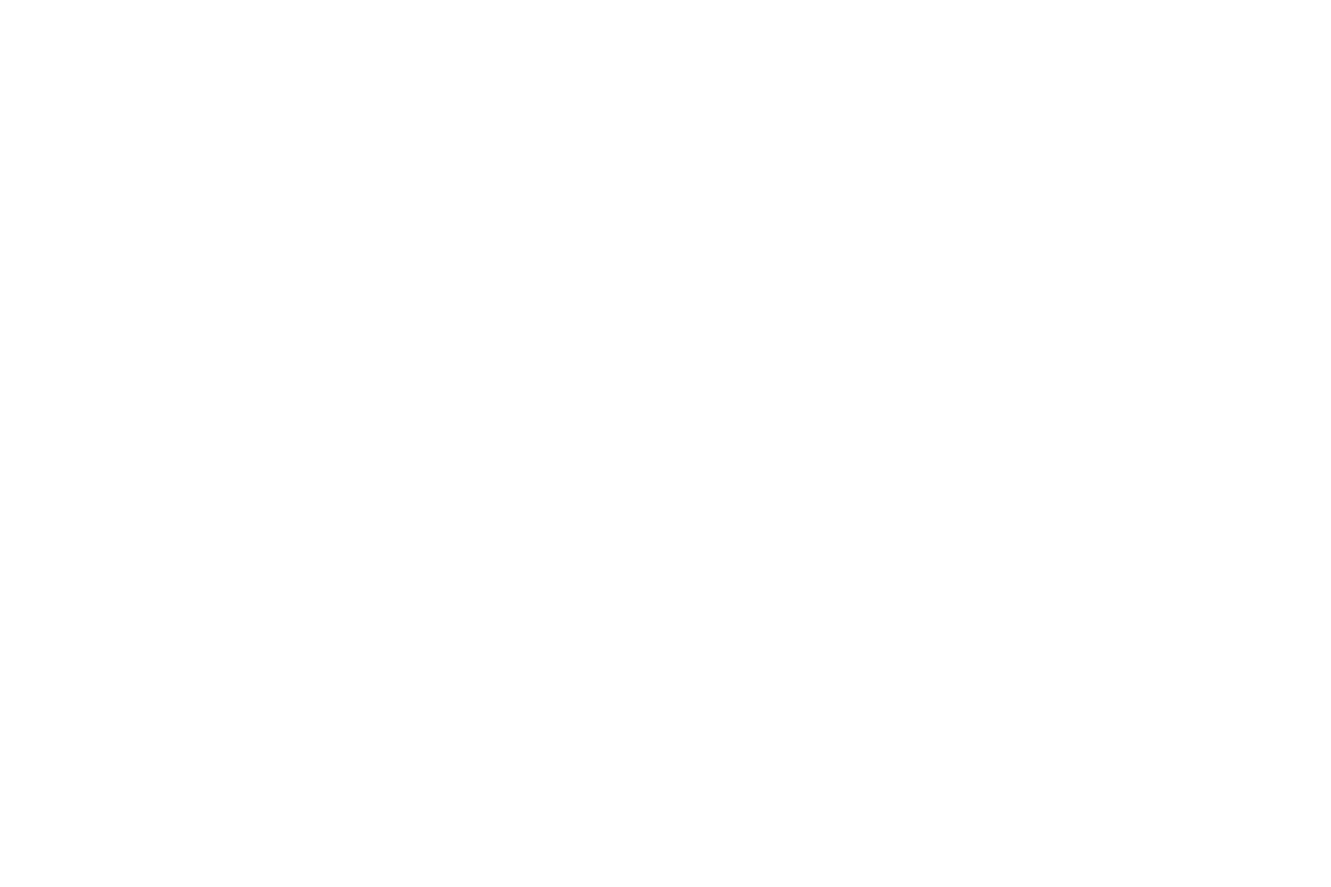 おおいぬ座 星座線