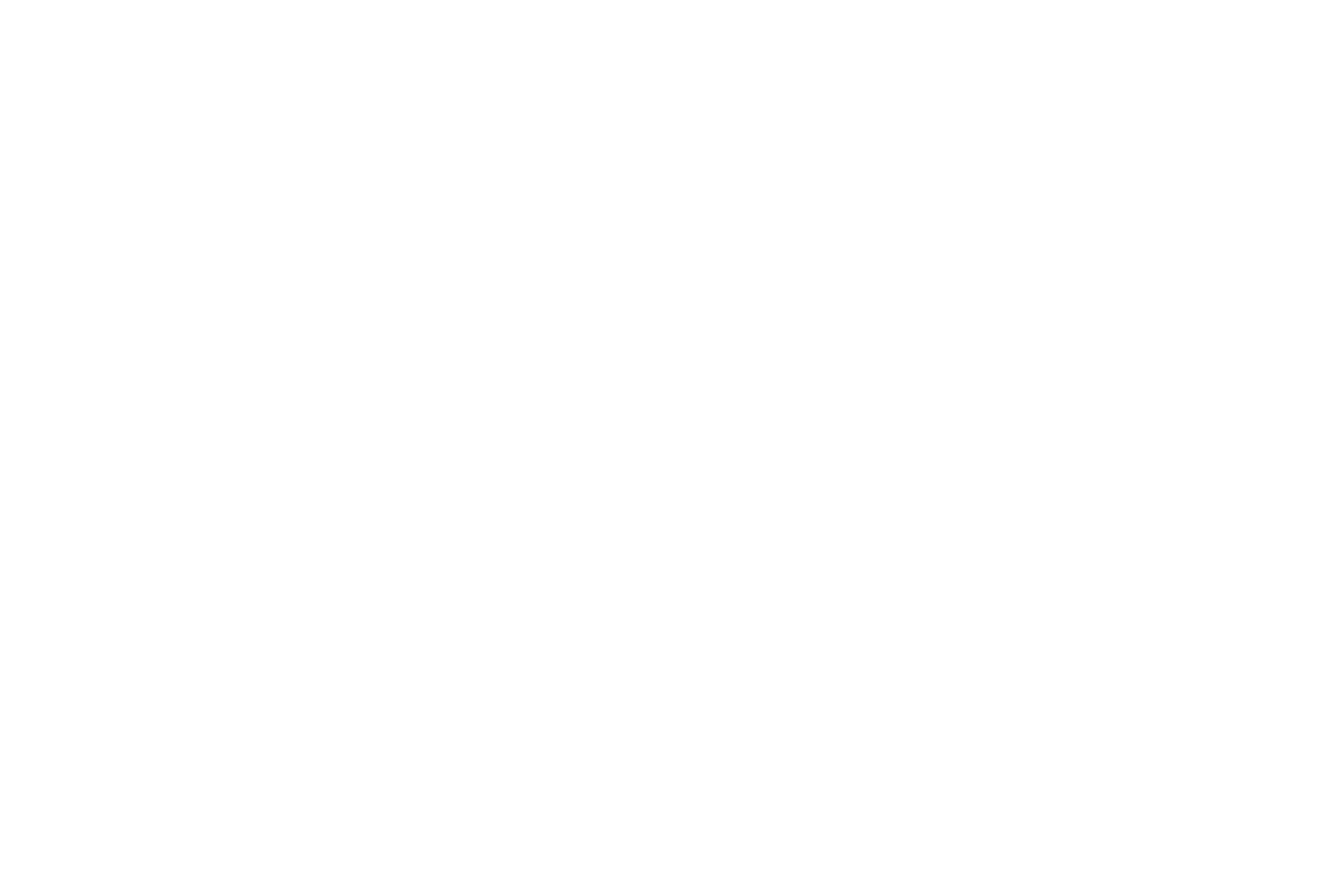 ペガスス座 星座線