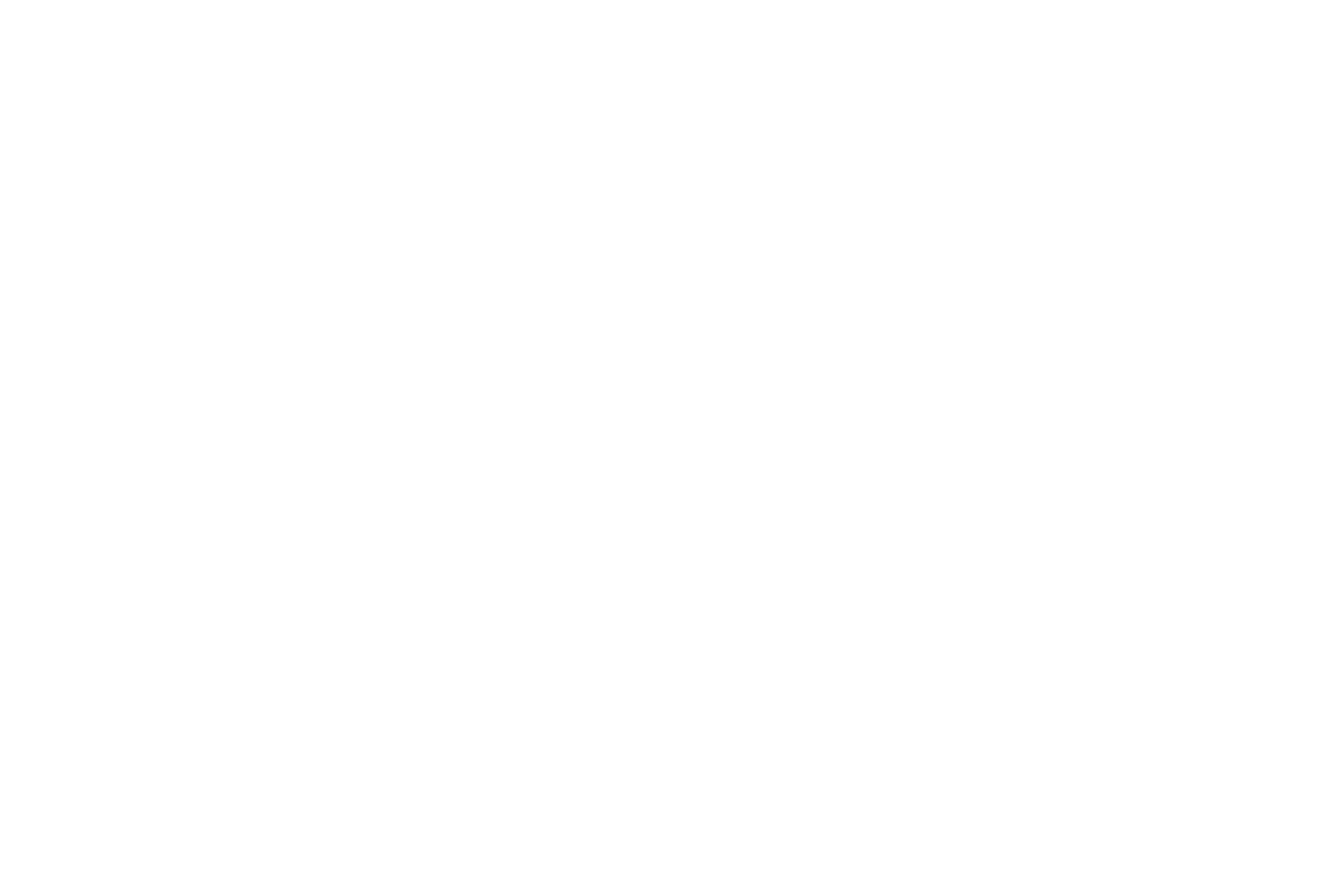 ろくぶんぎ座 星座線