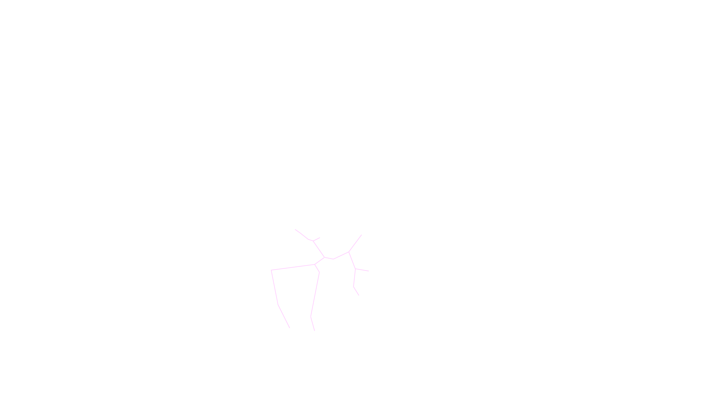 8月の天体図｜南天｜星座線