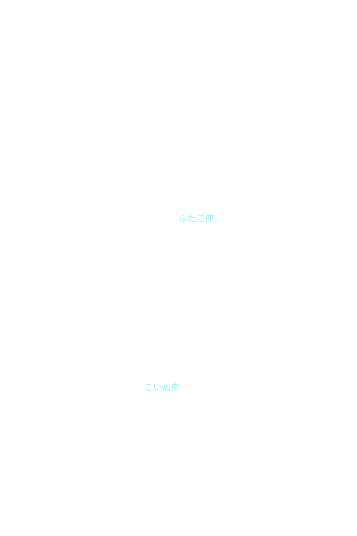 ふたご座 星座名