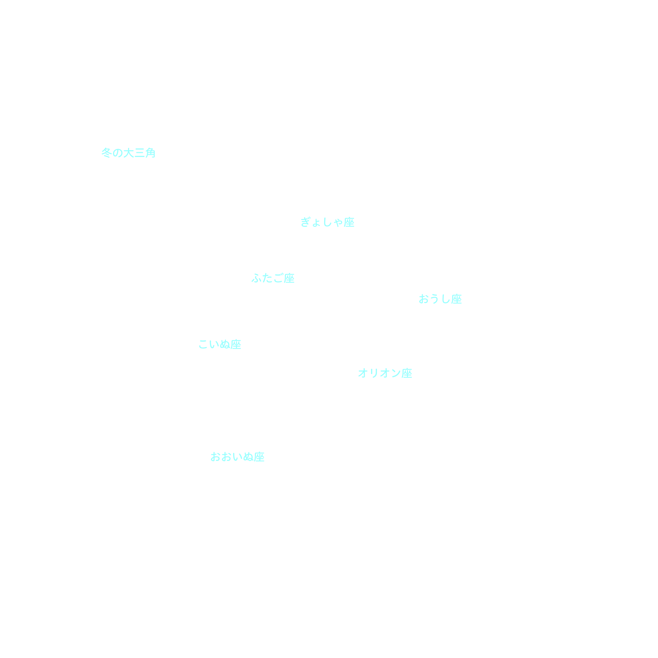 冬の１等星 星座名