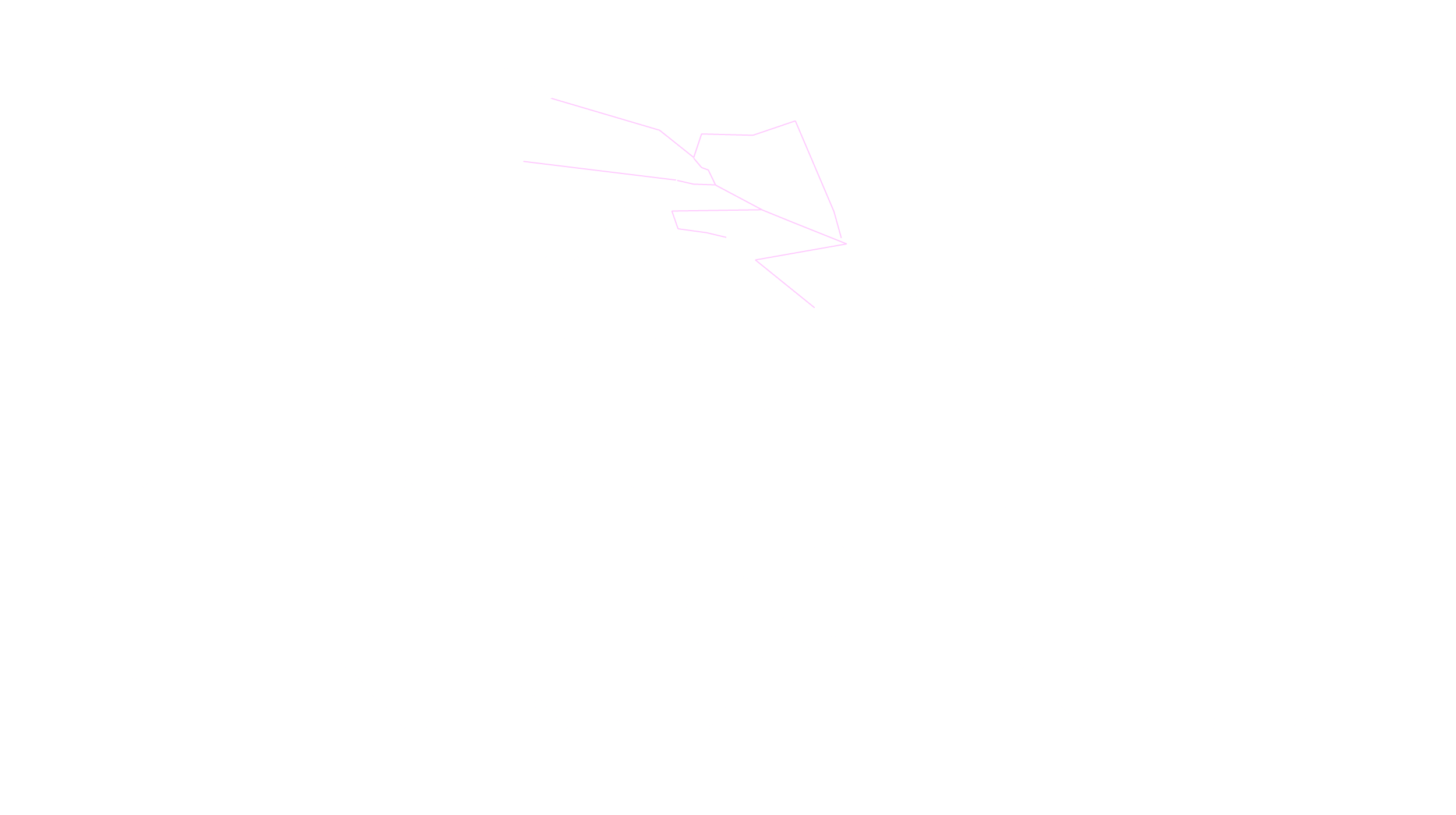 1月の天体図｜南天｜星座線