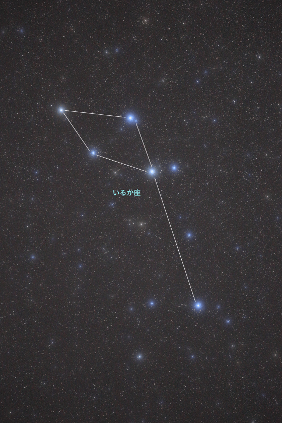 いるか座|星や月|大日本図書