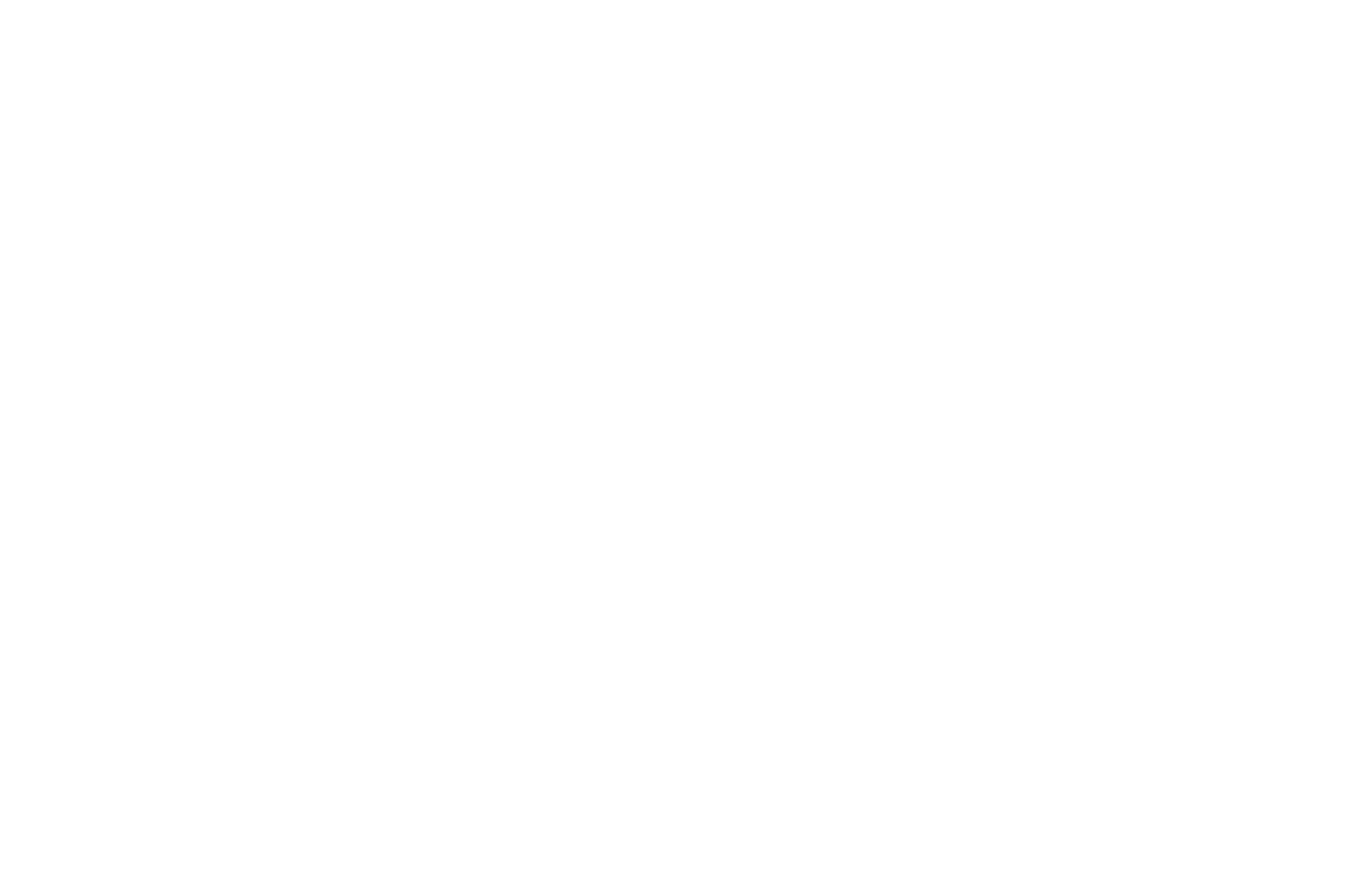 ペガスス座 星座線