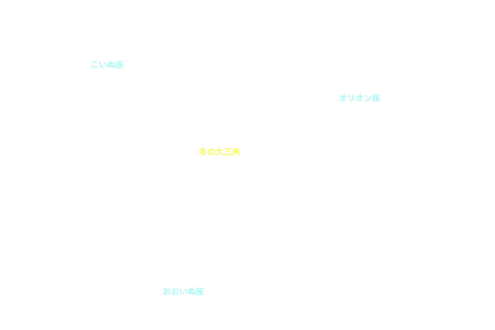 冬の大三角 星座名