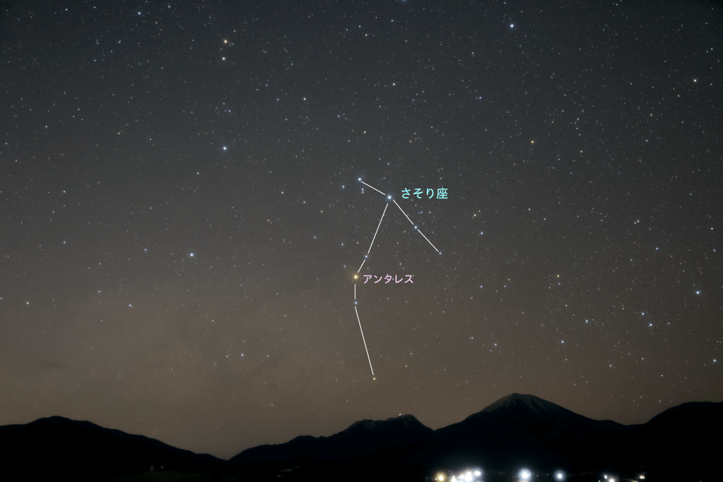 さそり座|星や月|大日本図書