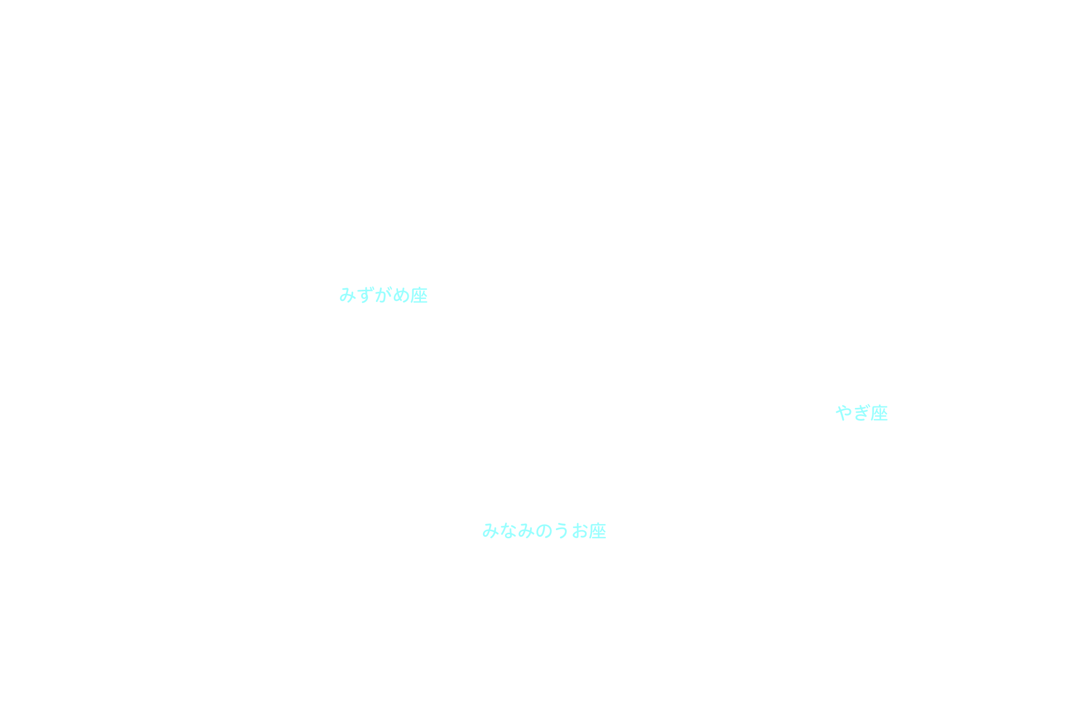 みずがめ座 星座名