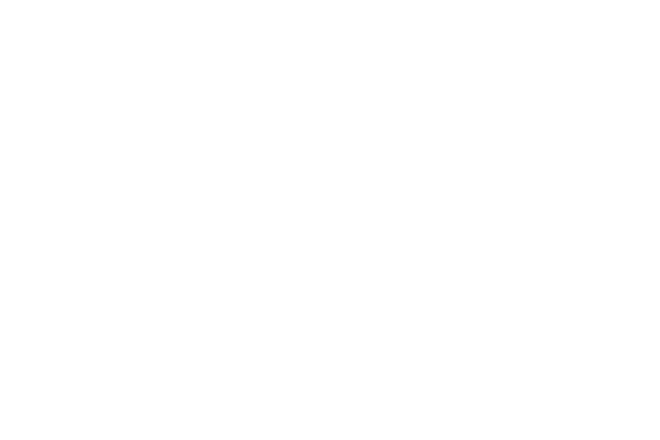 冬の大三角 星座線