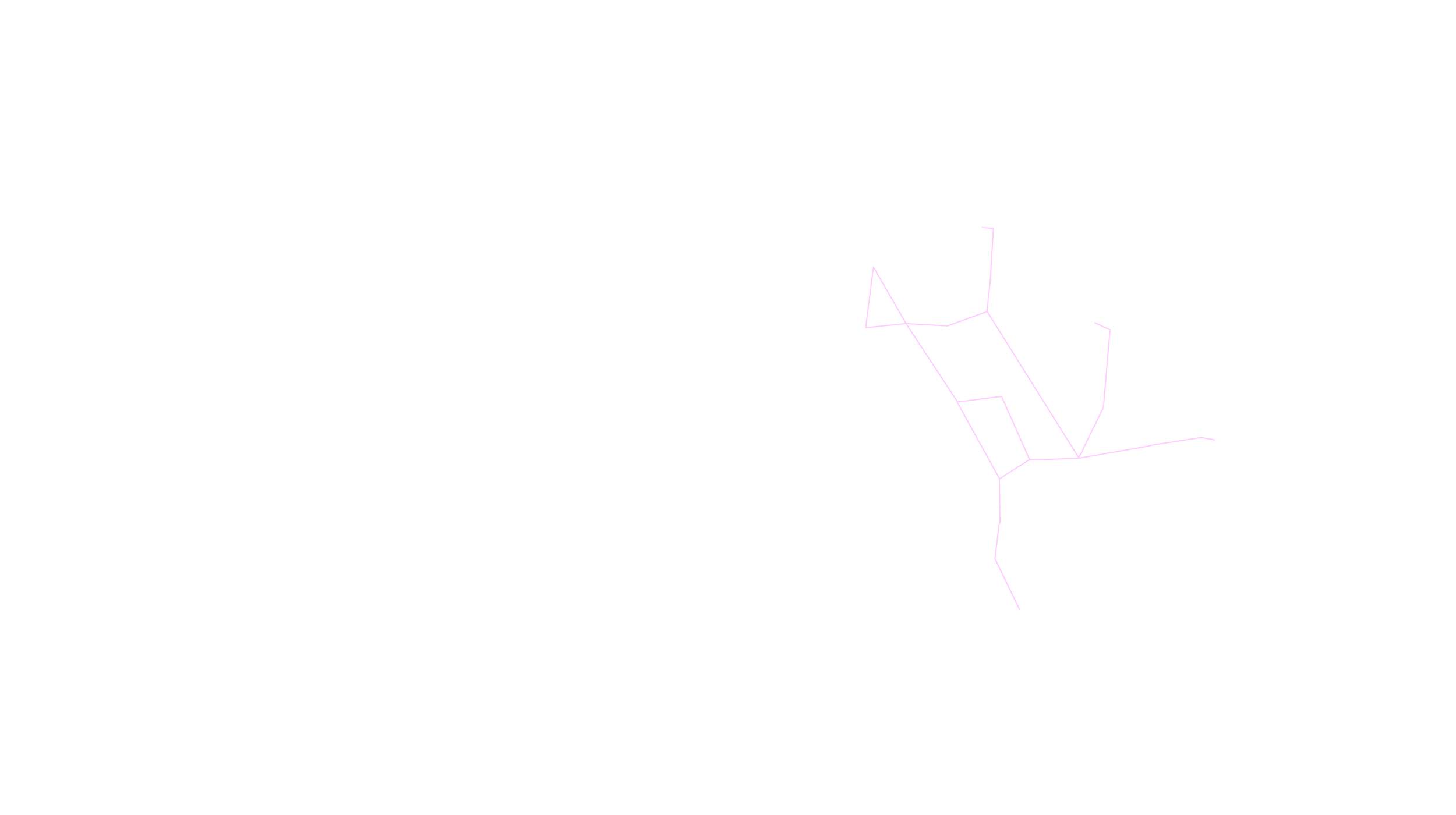 2月の天体図｜北天｜星座線