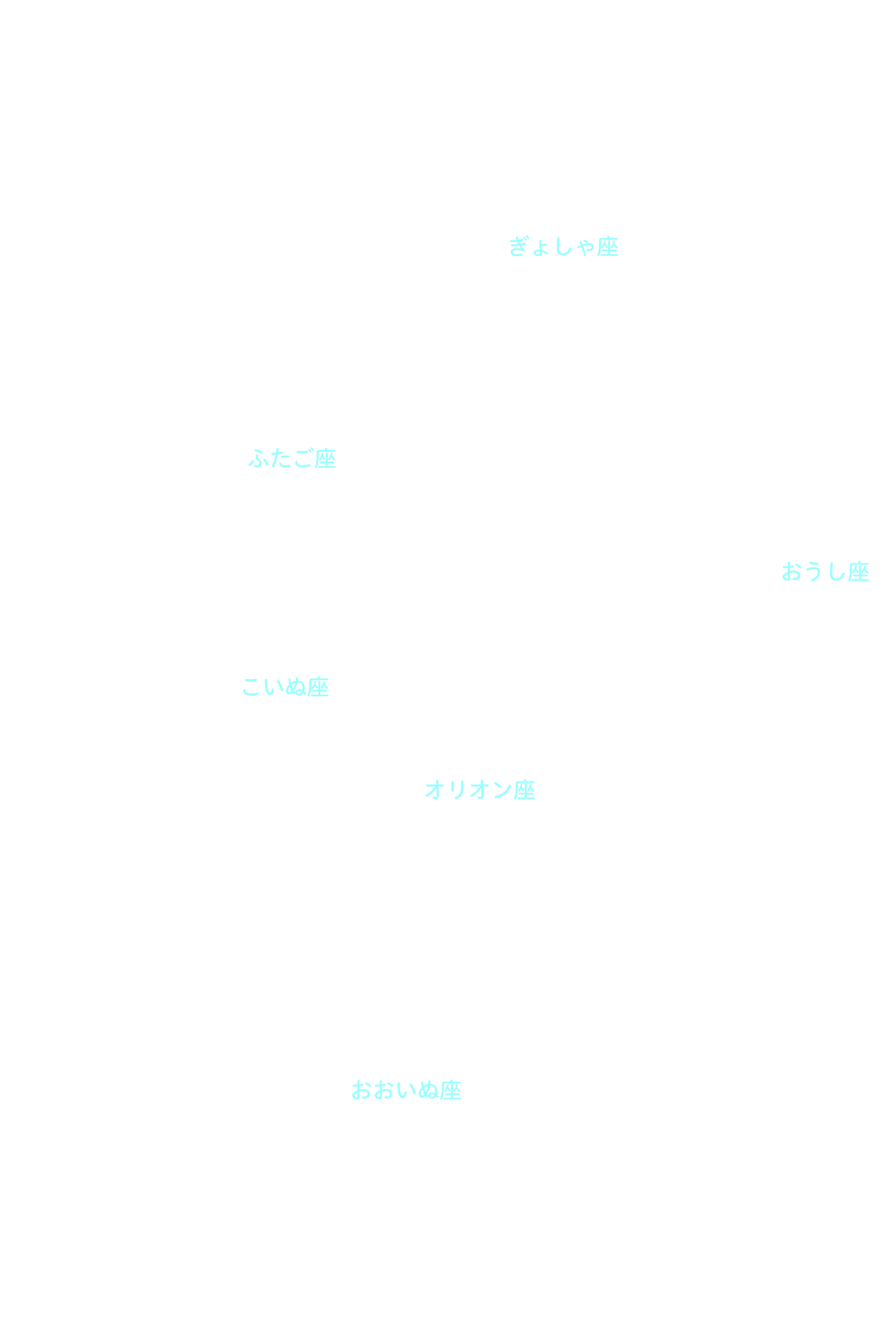 冬の大六角 星座名