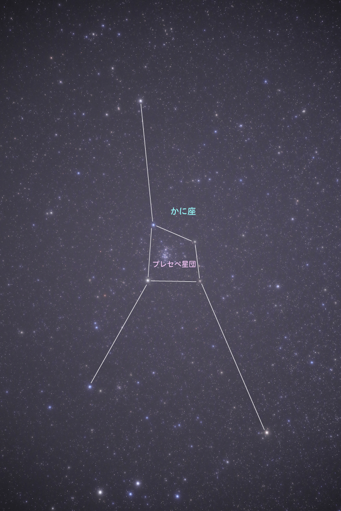 かに座|星や月|大日本図書