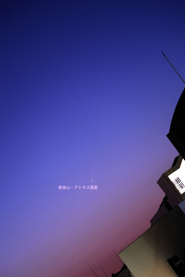 紫金山・アトラス彗星