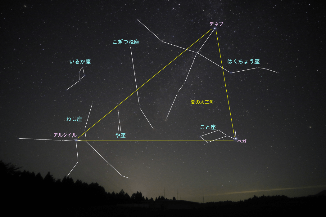 沈む夏の星座｜星や月｜大日本図書