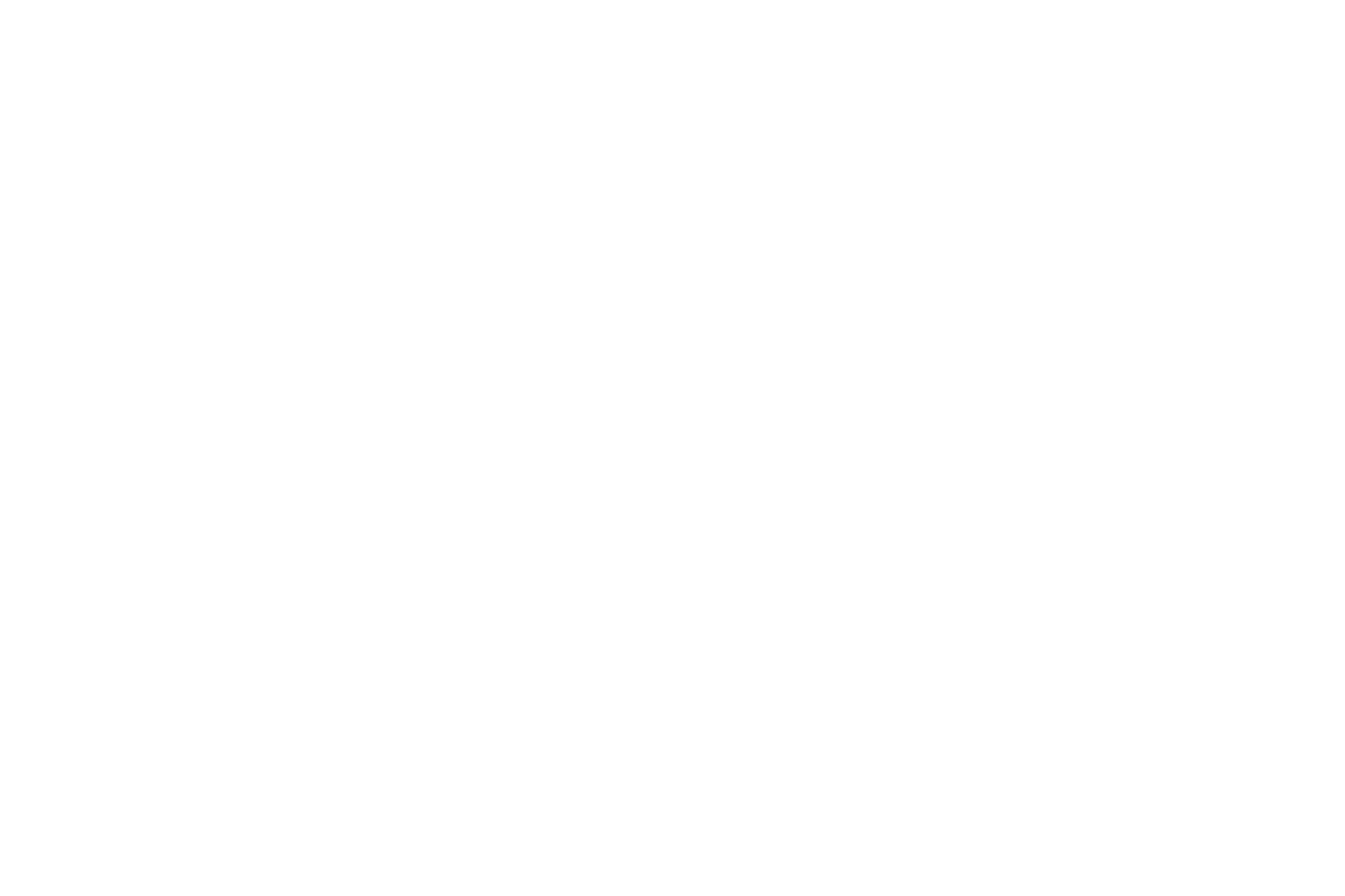 冬の大三角 星座線