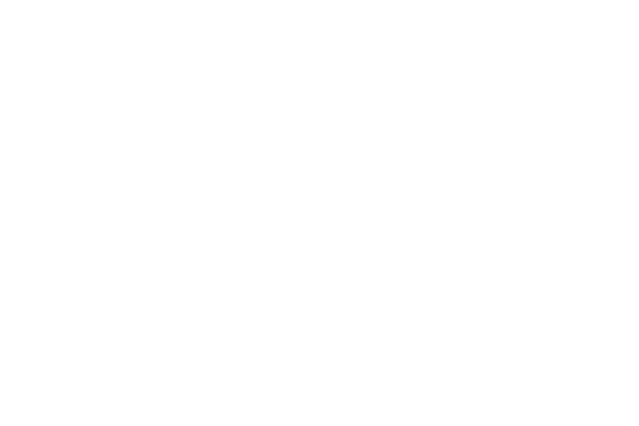うしかい座 星座線