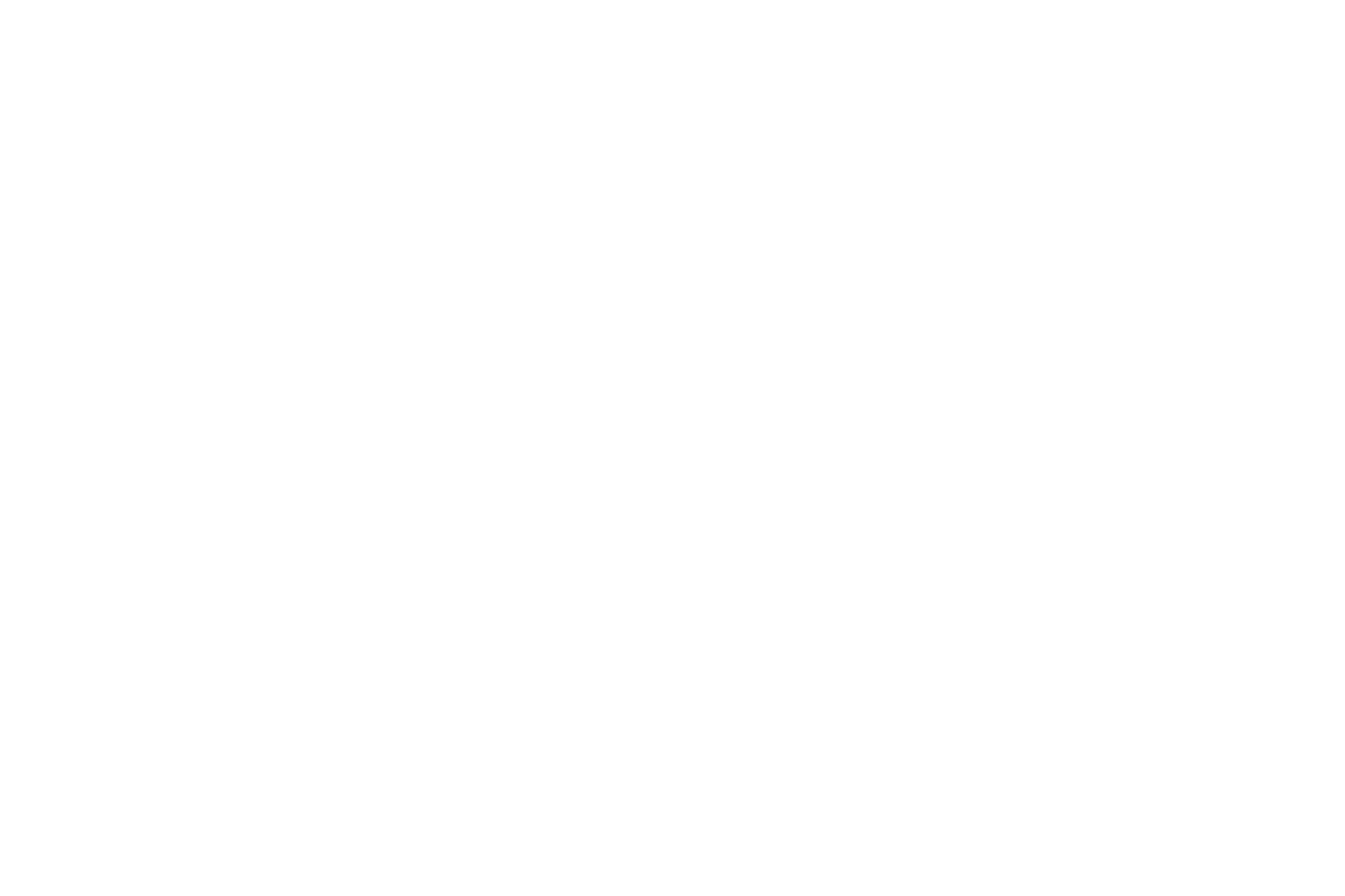 ペガスス座 星座線
