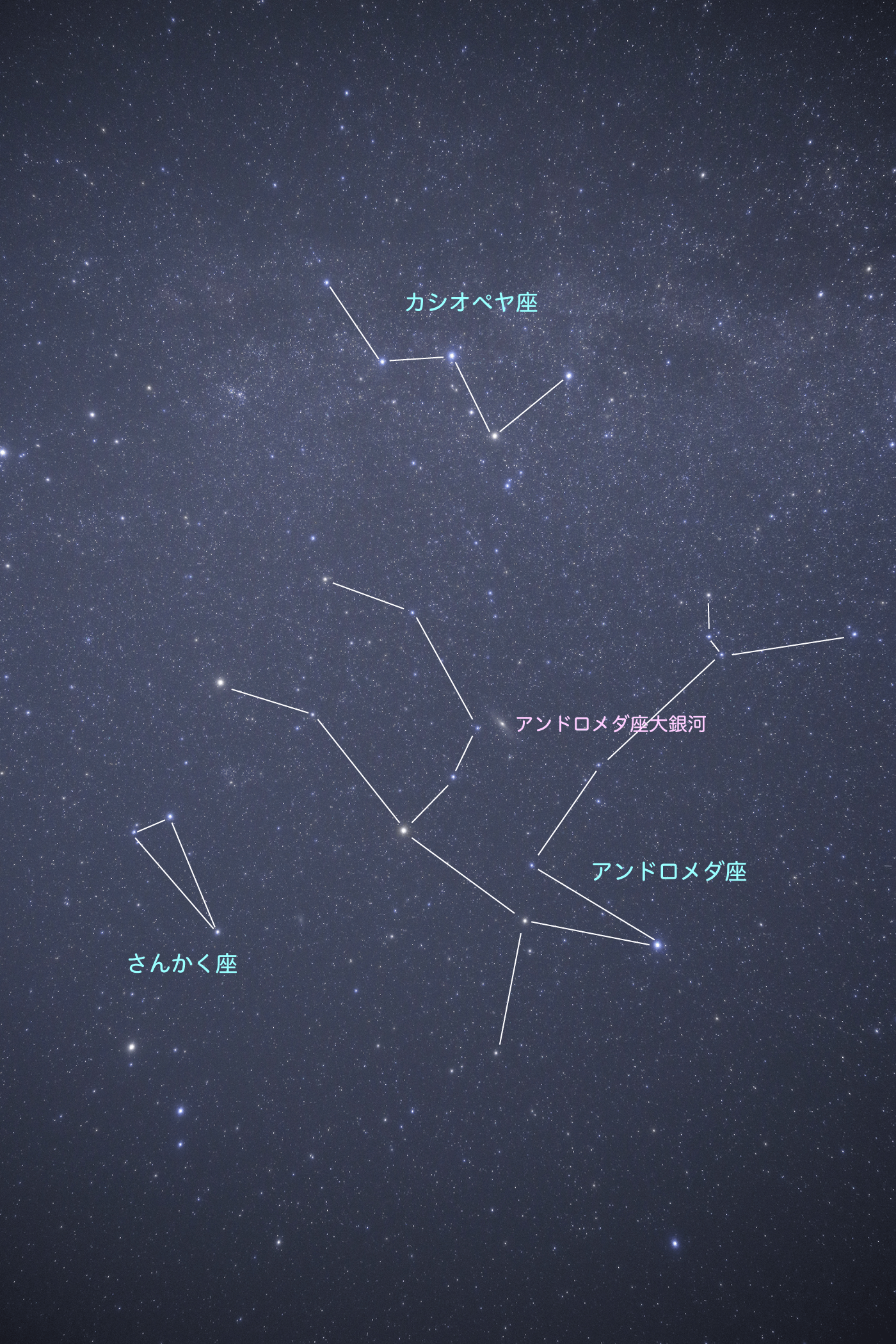 星空観察一覧｜星や月｜大日本図書
