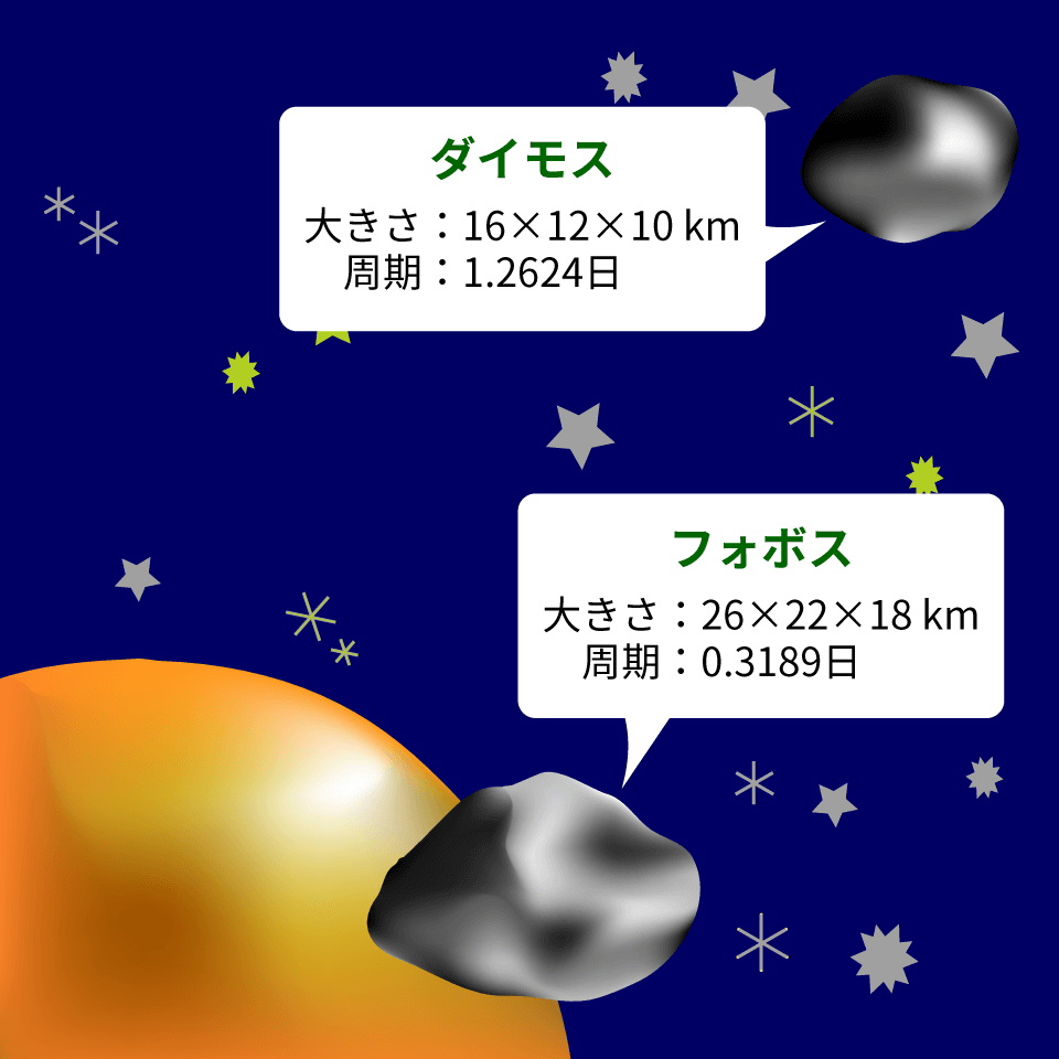 火星の月〜フォボスとダイモス