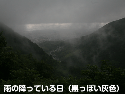 雨の降っている日