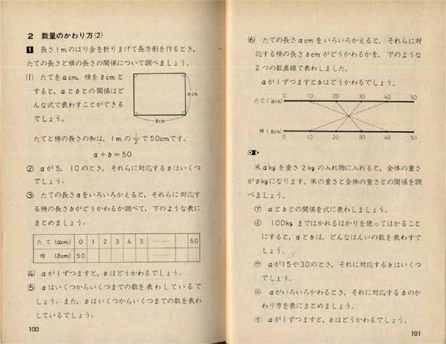 S46小学校新算数5-1｜p.100-p.101