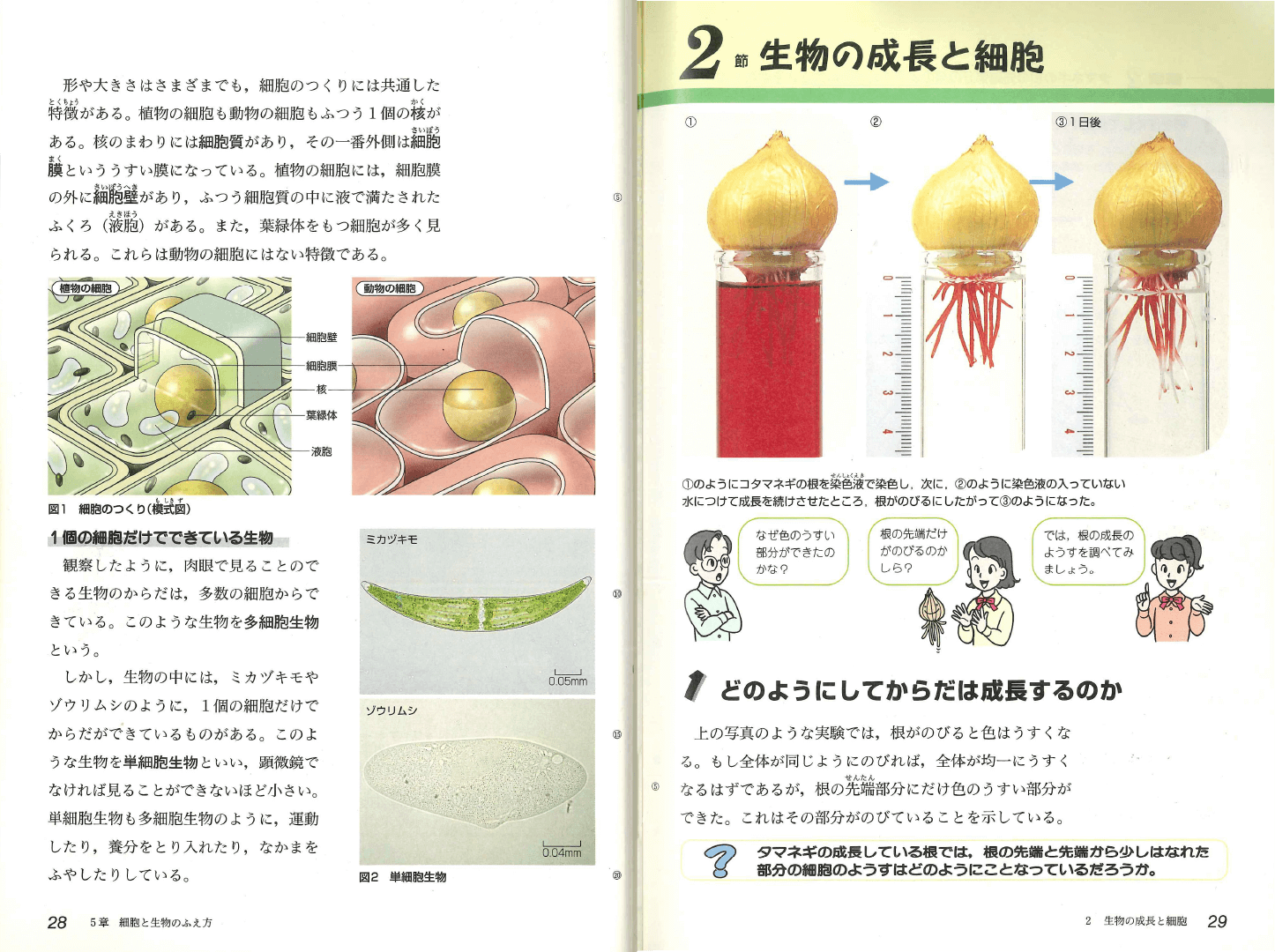 H14中学校理科 ２分野下｜p.28-p.29