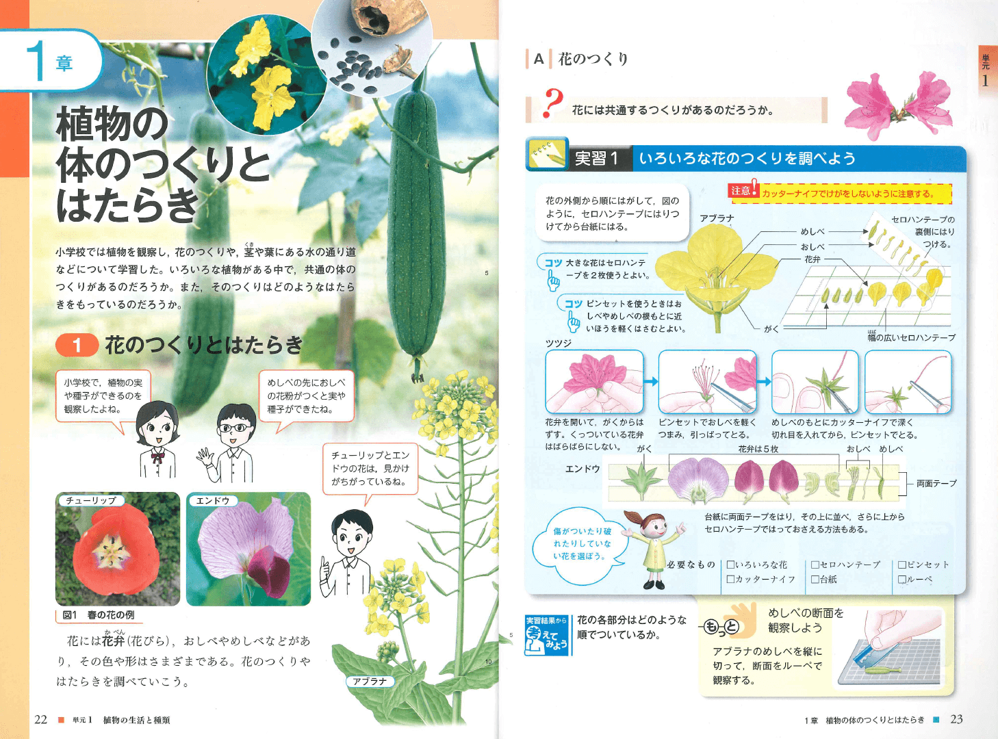 H24理科の世界１年｜p.22-p.23