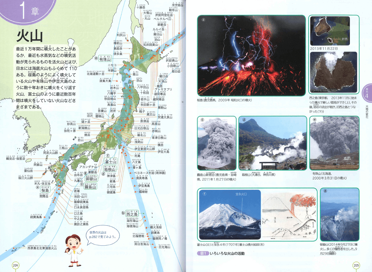 H28新版理科の世界１年｜p.204-p.205