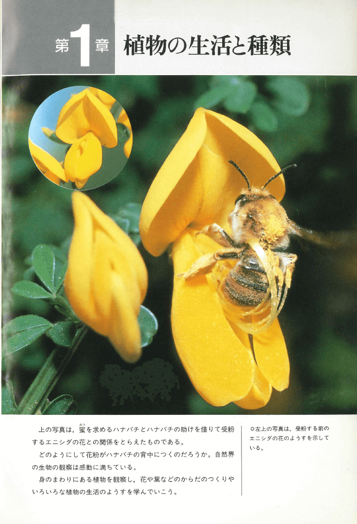授業がおもしろくなる21中学授業のネタ 理科第1分野/化学(理科