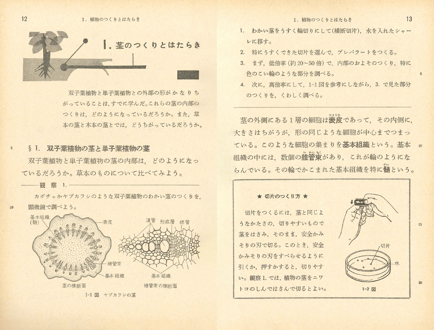 S37中学校理科２年｜p.12-p.13