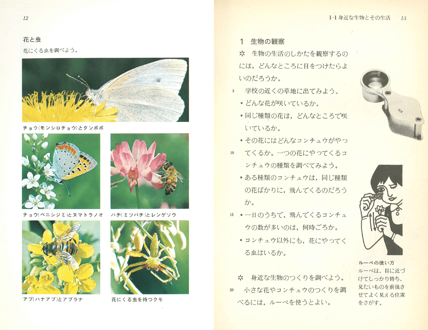 S56中学校理科２分野上｜p.12-p.13