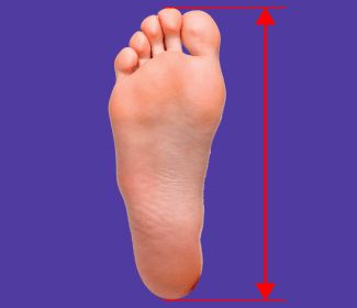 足の大きさのイメージ