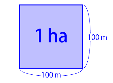 イメージ図：一辺 100 m の正方形