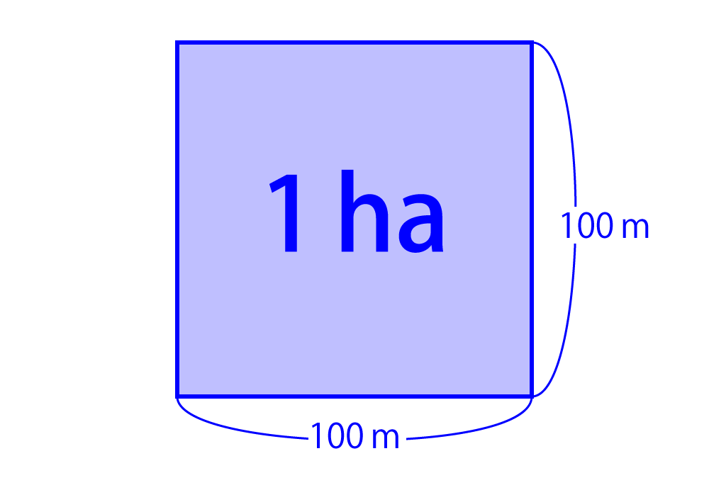 イメージ図：一辺 10 cm の正方形