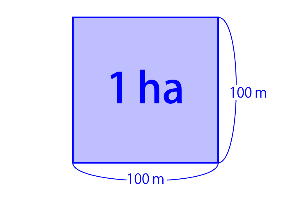 【サイズ:A4_スタイル:10枚セット_色:ナチュラル】【まとめ買いセット】HA