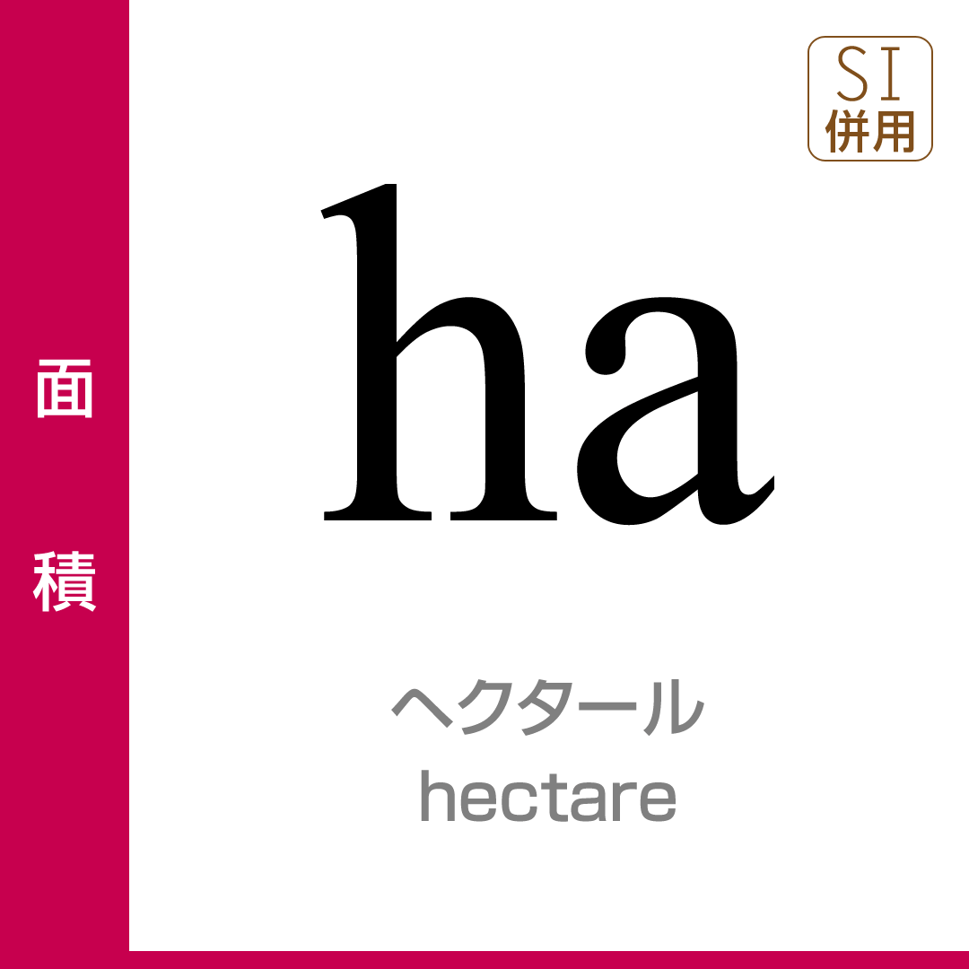 【サイズ:A4_スタイル:10枚セット_色:ナチュラル】【まとめ買いセット】HA