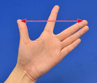 イメージ画像：手を広げたときの親指の先から中指の先までの長さ