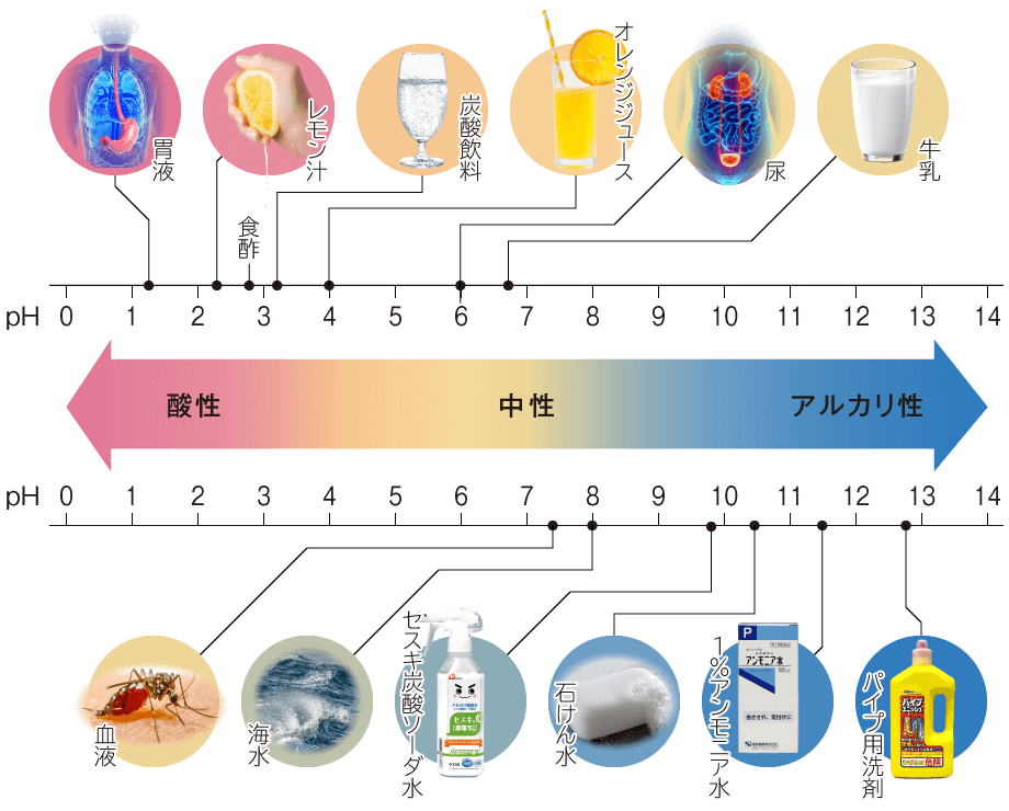 身の回りの物質のpH