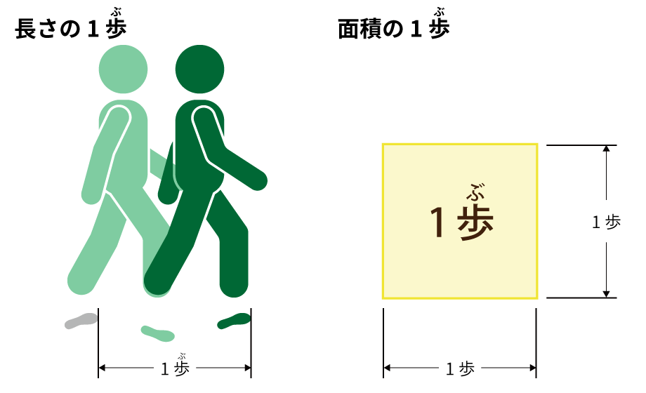 １歩 の長さと面積