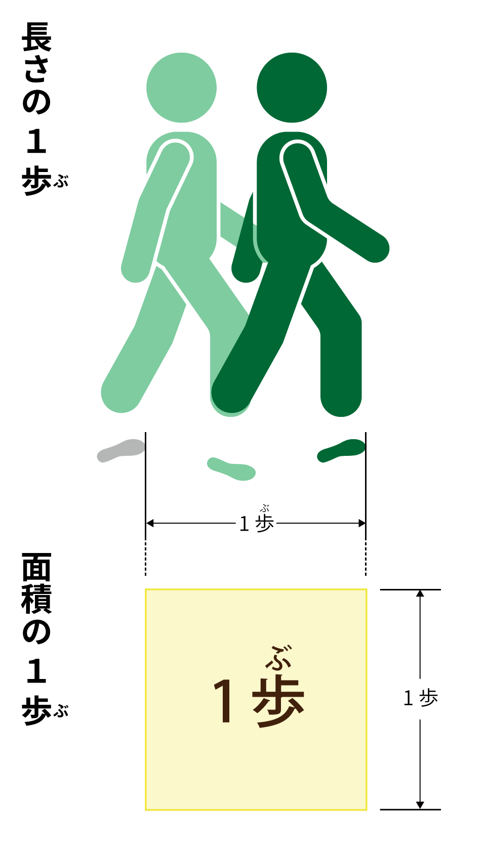 １歩 の長さと面積