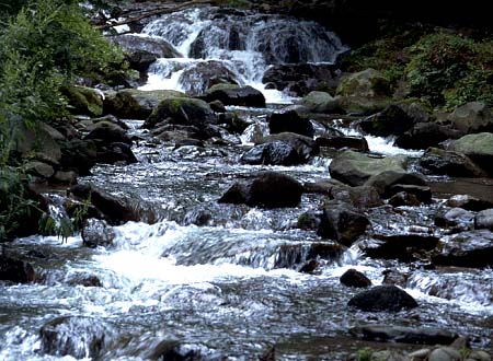 上流付近の川