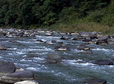 中津川の中流