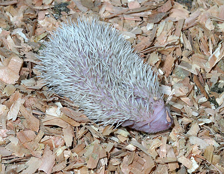 生まれて１５日目